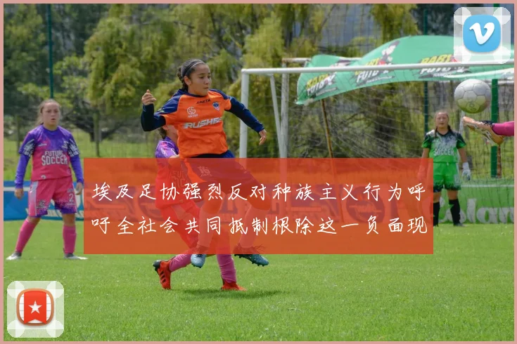 埃及足协强烈反对种族主义行为呼吁全社会共同抵制根除这一负面现象